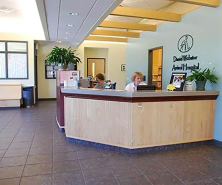 VCA Daniel Webster Animal Hospital