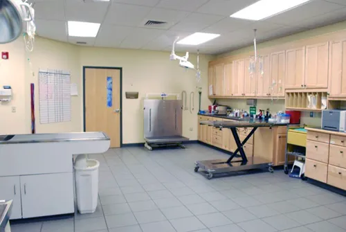 VCA Daniel Webster Animal Hospital Picture 4