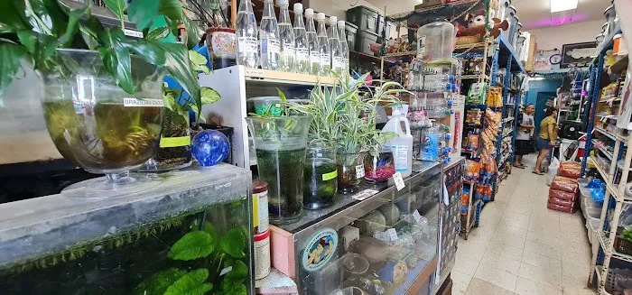 Moanalua Pets Inc Picture 10