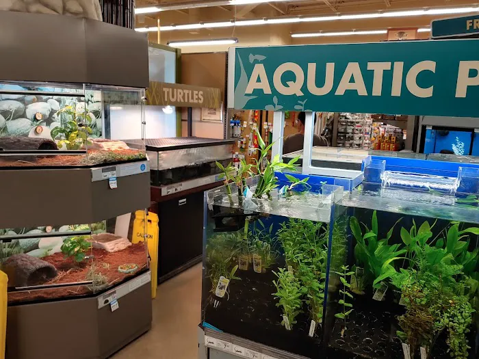 Petco Picture 2