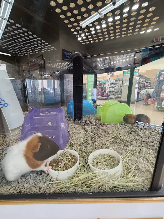 Petco Picture 6