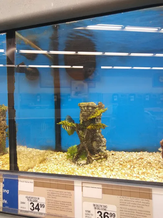 Petco Picture 4