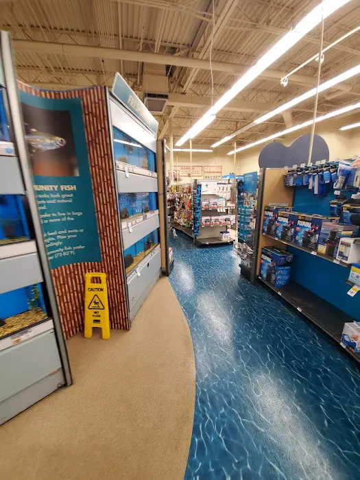 Petco Picture 7