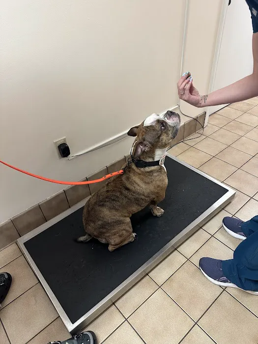 Countryside Animal Hospital Picture 7