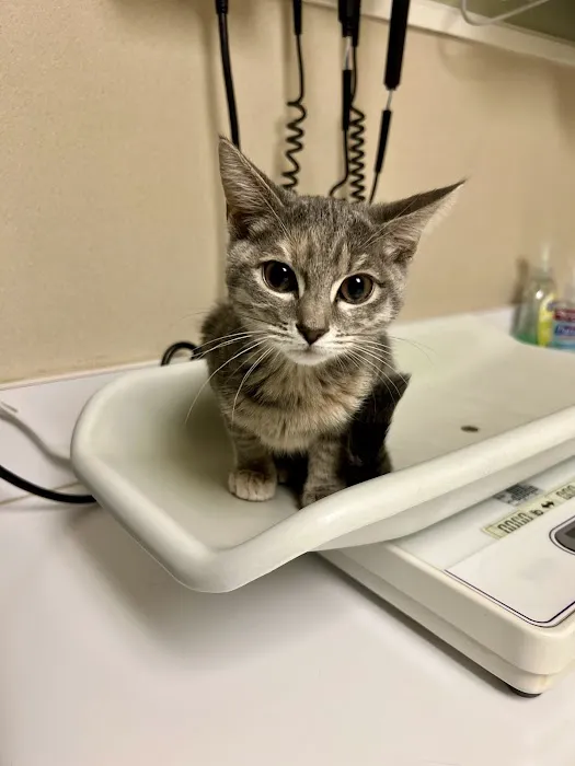 Countryside Animal Hospital Picture 8