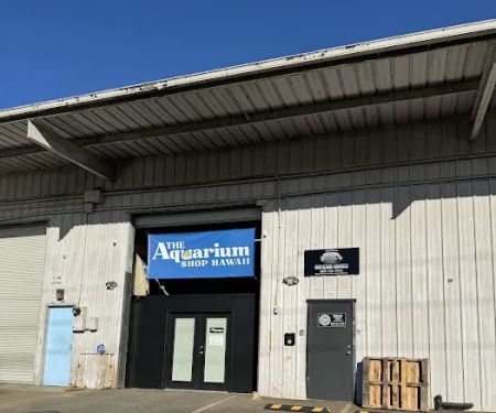 The Aquarium Shop Hawaii