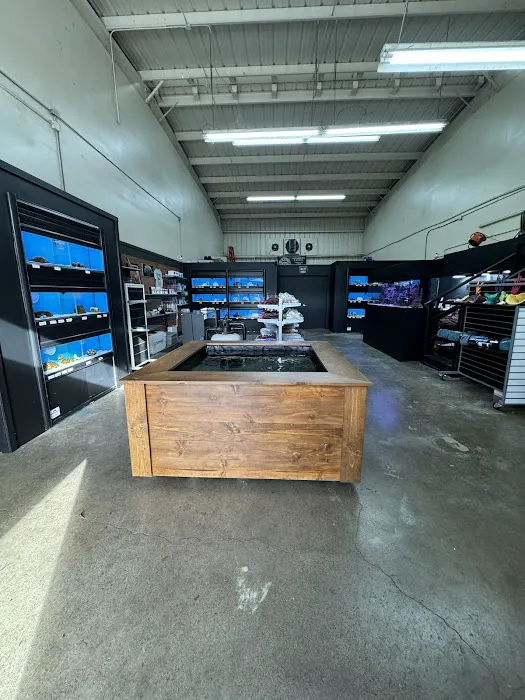 The Aquarium Shop Hawaii Picture 3