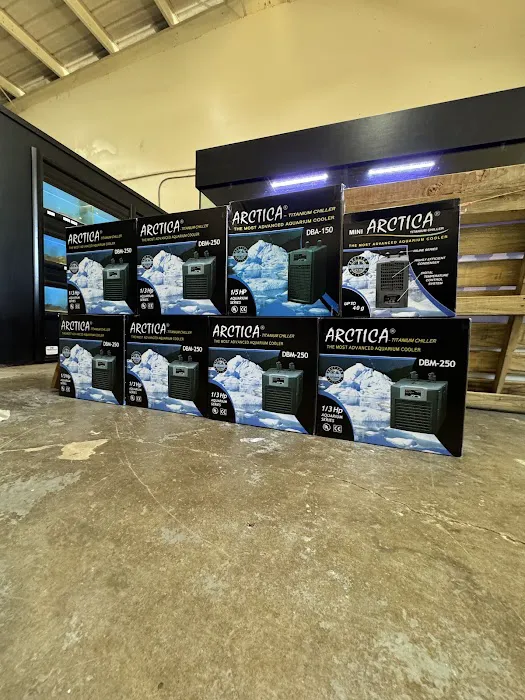 The Aquarium Shop Hawaii Picture 6