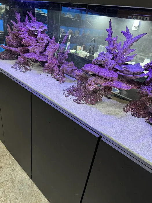 The Aquarium Shop Hawaii Picture 5