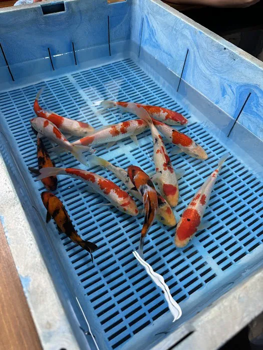 The Aquarium Shop Hawaii Picture 9