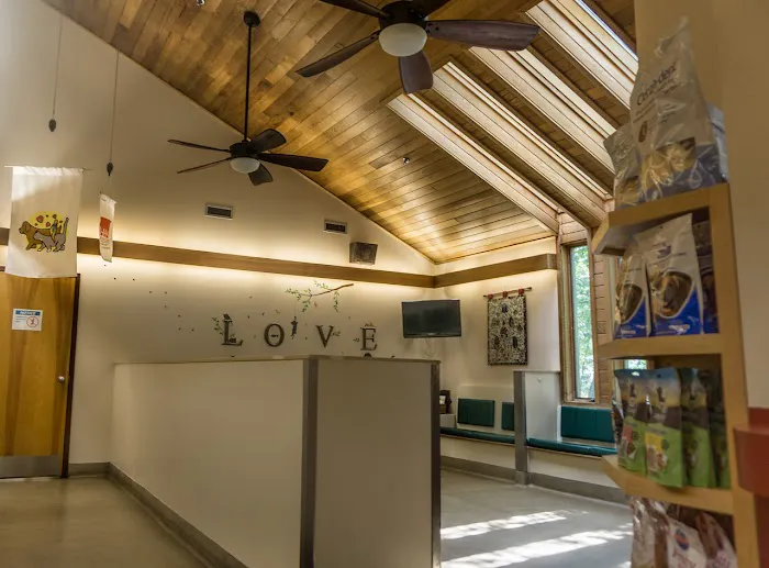 Hudson Animal Hospital, A Thrive Pet Healthcare Partner Picture 2
