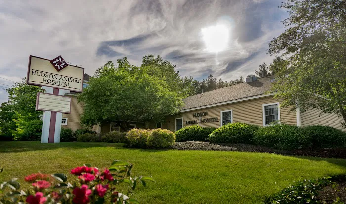 Hudson Animal Hospital, A Thrive Pet Healthcare Partner Picture 3