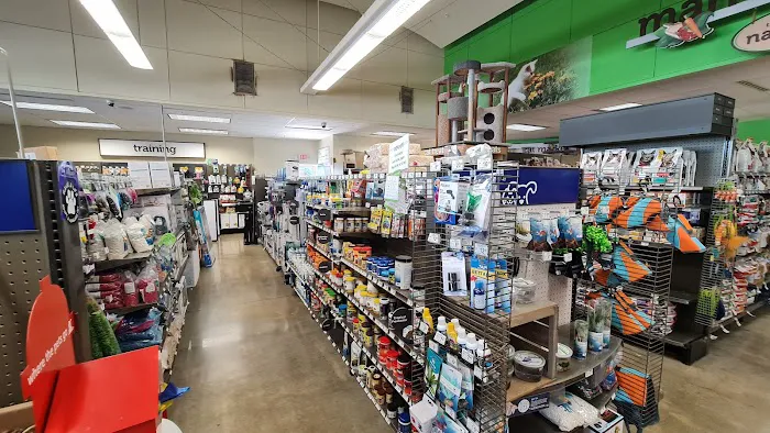 Petco Picture 2