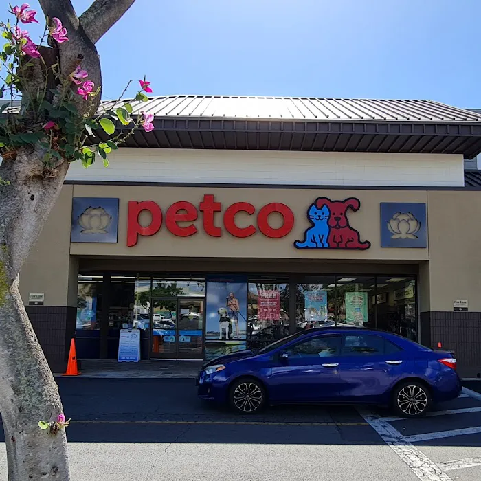 Petco Picture 8