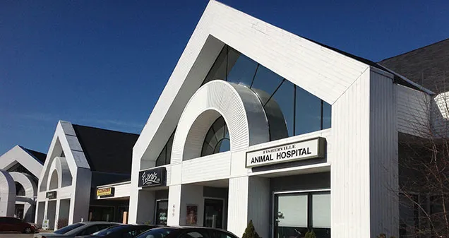 Fisherville Animal Hospital Picture 3