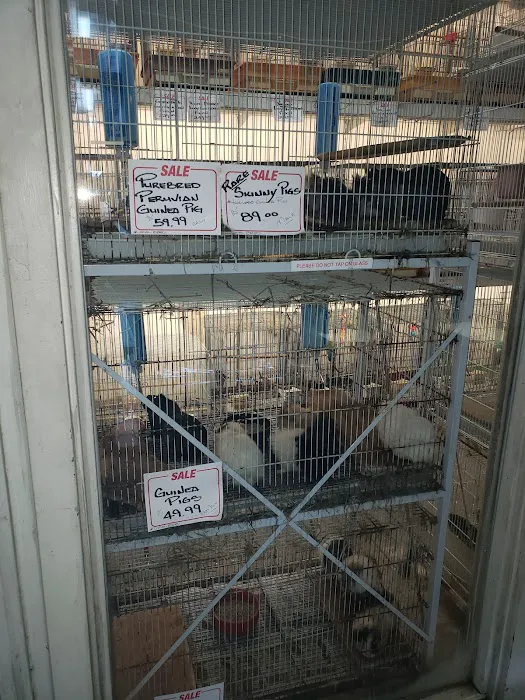 Kalihi Pet Center Picture 3