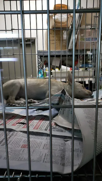 Kalihi Pet Center Picture 5