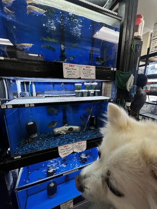 Kalihi Pet Center Picture 4