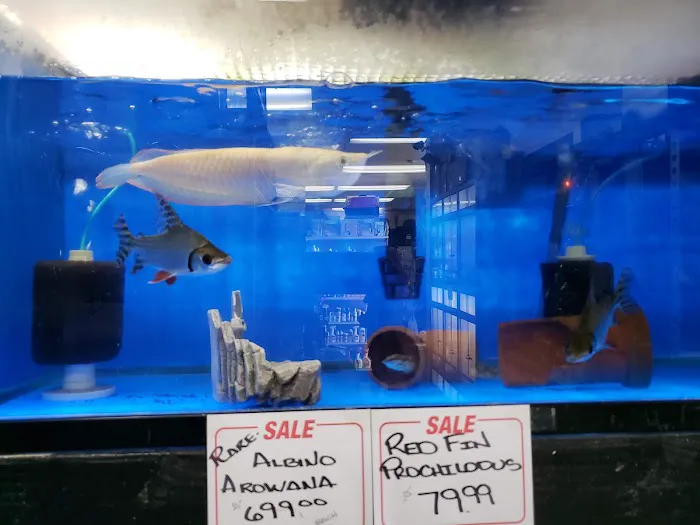 Kalihi Pet Center Picture 9
