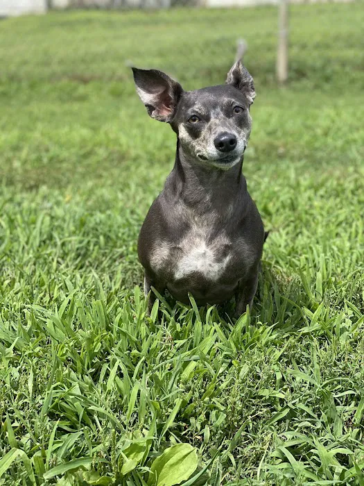 VCA Riverside Veterinary Hospital Picture 4