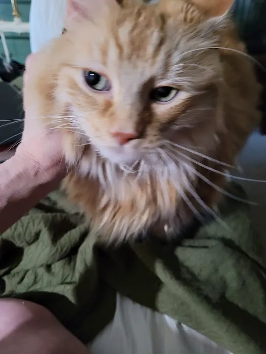 VCA Riverside Veterinary Hospital Picture 3