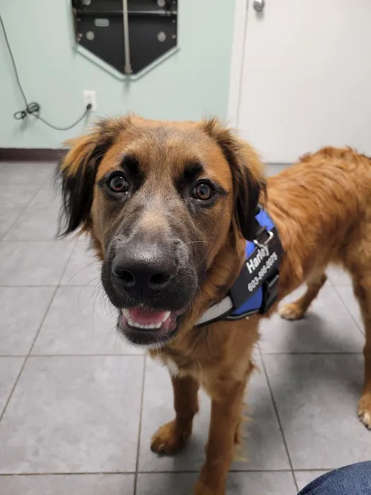 VCA Riverside Veterinary Hospital Picture 5