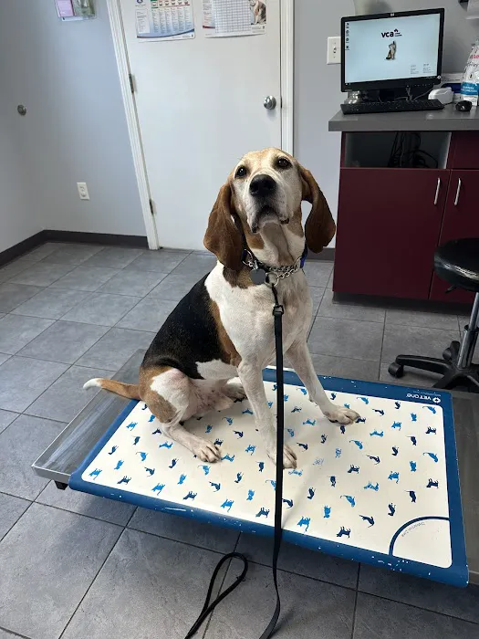 VCA Riverside Veterinary Hospital Picture 8