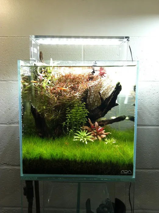 Aquascapes Picture 3