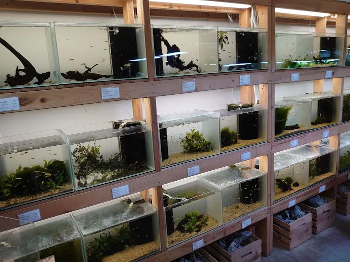 Aquascapes Picture 2