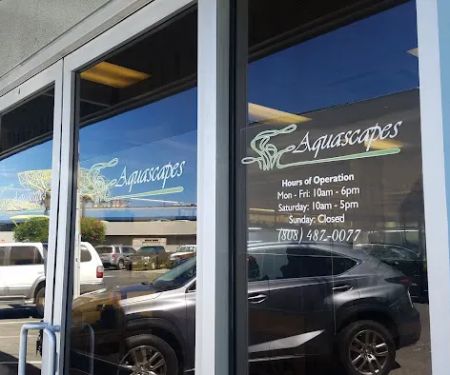 Aquascapes