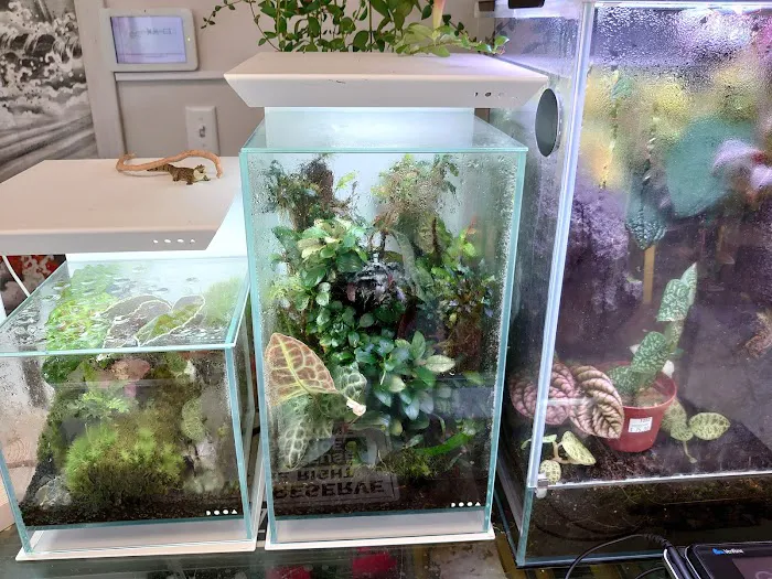 Aquascapes Picture 5