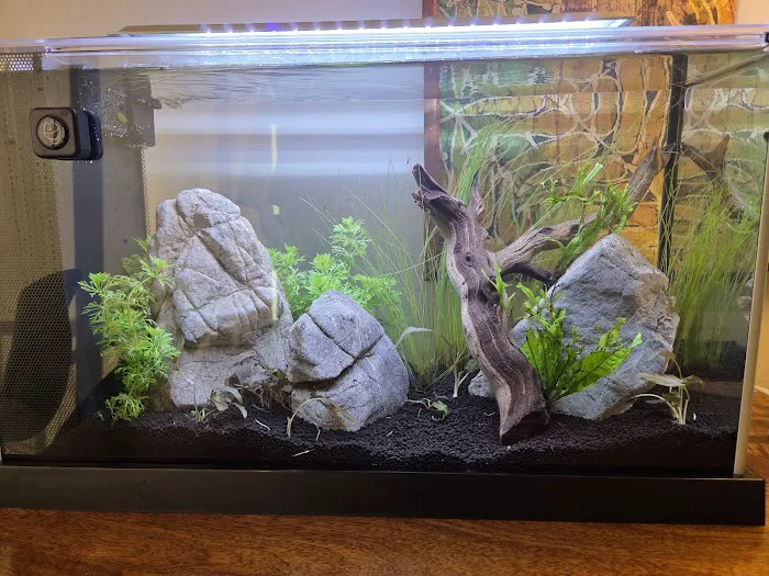 Aquascapes Picture 7
