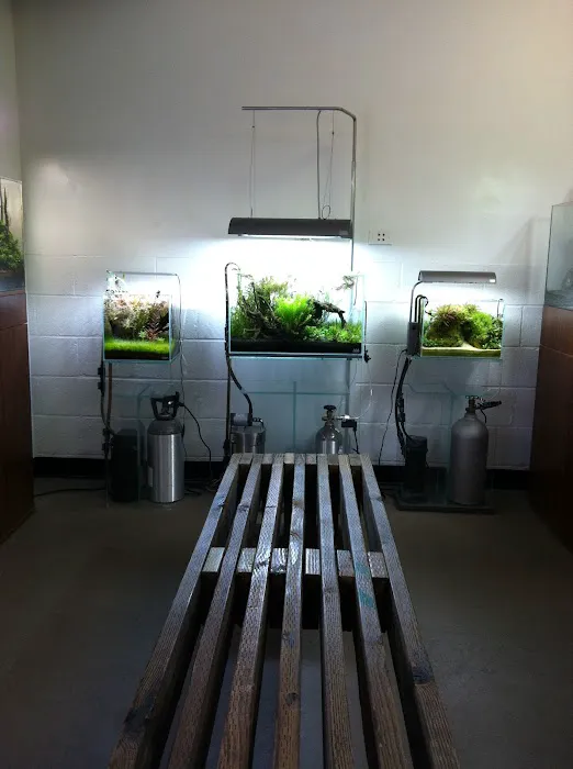 Aquascapes Picture 9