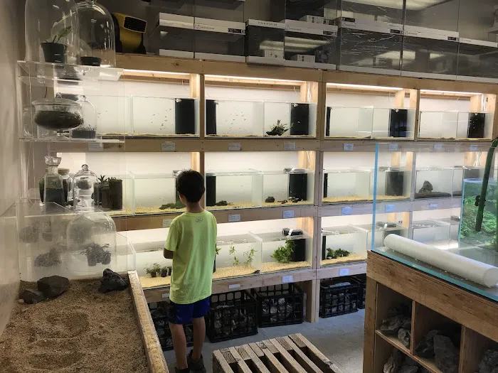 Aquascapes Picture 8