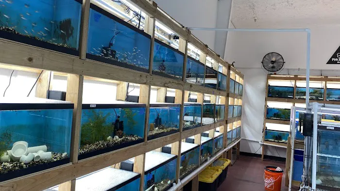 MastahBetta Fish Shop Picture 1