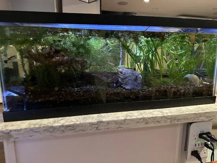 MastahBetta Fish Shop Picture 5
