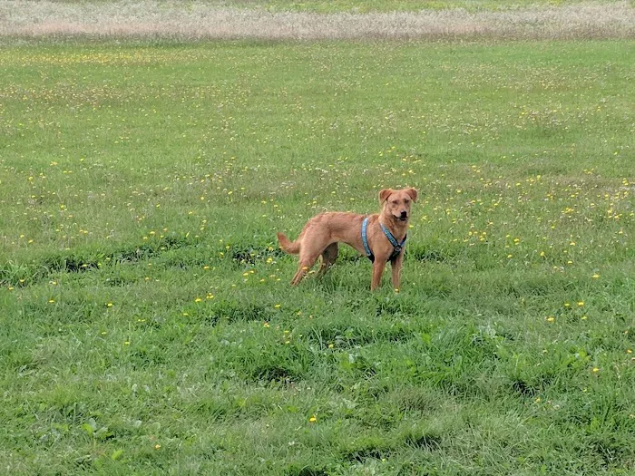 Cilley Veterinary Clinic Picture 9