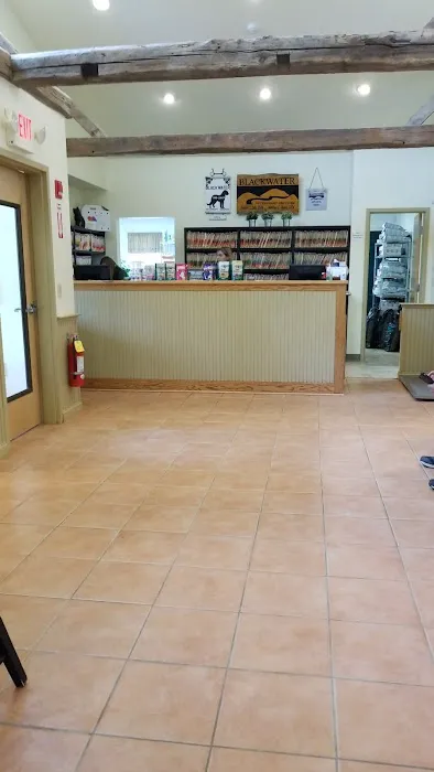 Clark Lesley DVM Picture 3