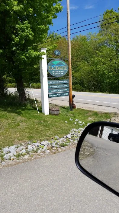 Clark Lesley DVM Picture 4