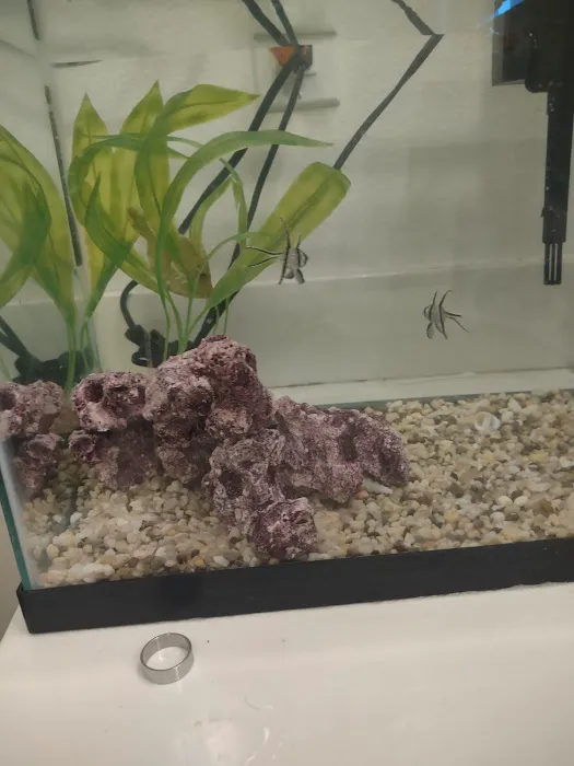 Petco Picture 4
