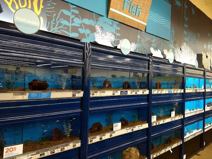 Petco Picture 1