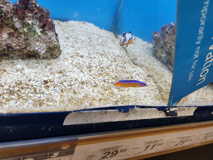 Petco Picture 3