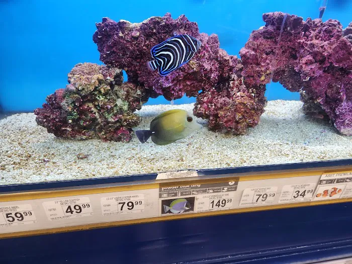 Petco Picture 9