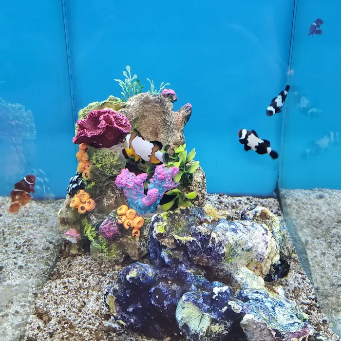 Petco Picture 5