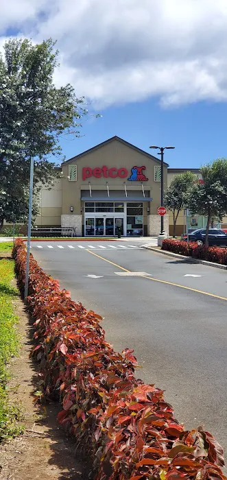 Petco Picture 10