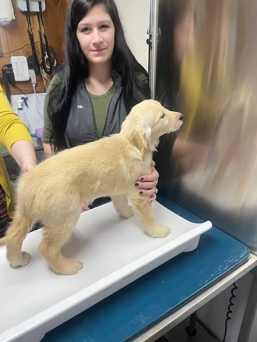 Wendell Veterinary Clinic Picture 8