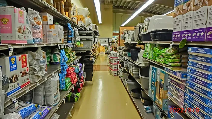 Petco Picture 5
