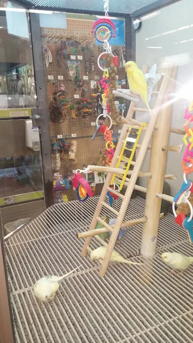 Petco Picture 7