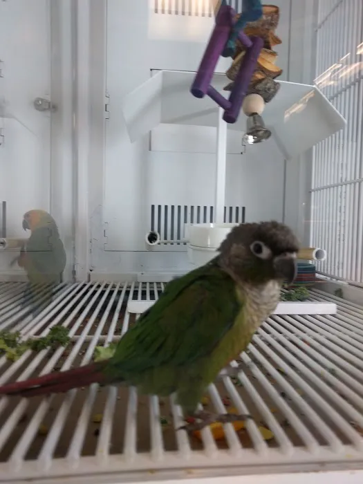 Petco Picture 8