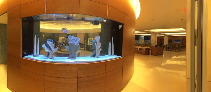 Waikiki Aquarium Service Picture 1